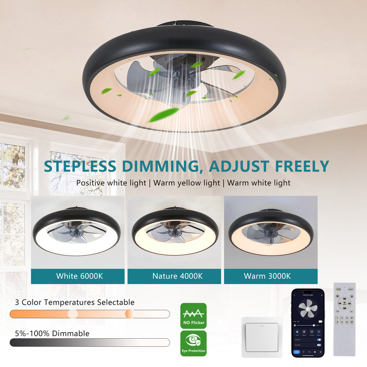 Full product view of Ceiling Fan Light Modern Remote Control Black Iron
